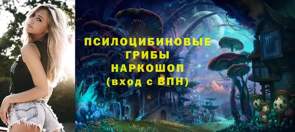 spice Видное