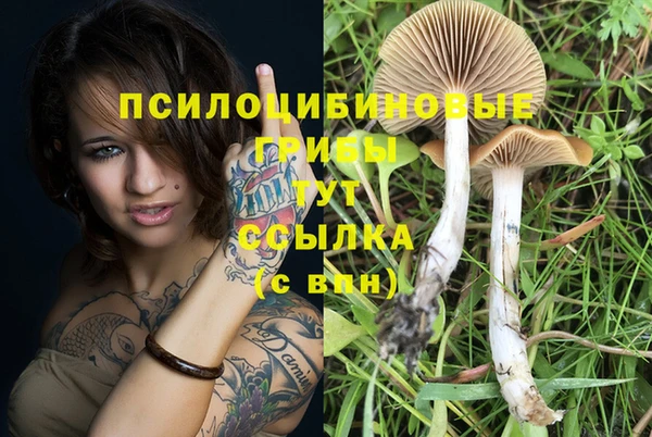 таблы Остров