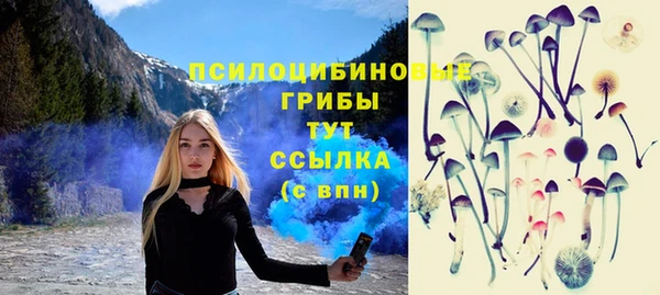 apvp Осинники