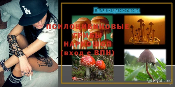 apvp Осинники