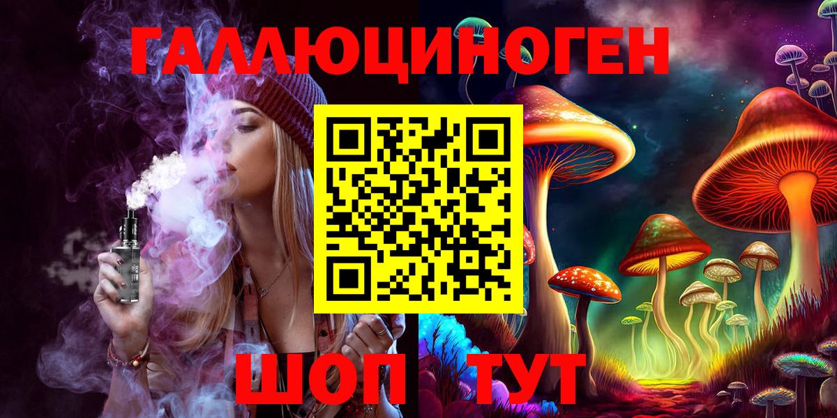 Псилоцибиновые грибы Psilocybe Лениногорск