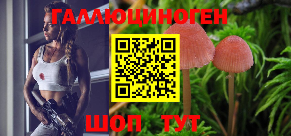 Галлюциногенные грибы мухоморы  Галлюциногенные грибы Psilocybine cubensis  Вход с VPN  Лениногорск 