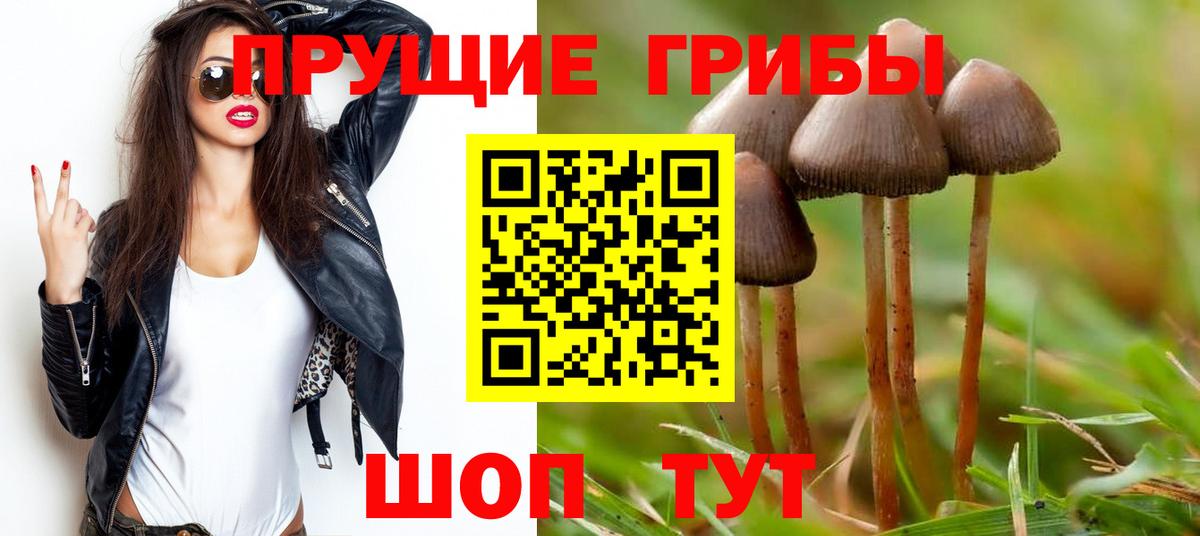 Галлюциногенные грибы мухоморы Лениногорск